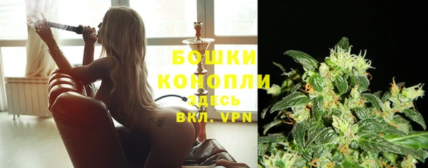мдпв Верея