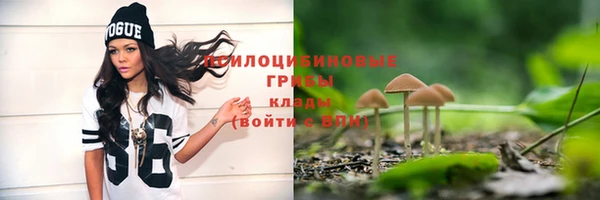альфа пвп Володарск