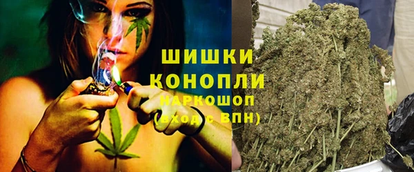мдпв Верея
