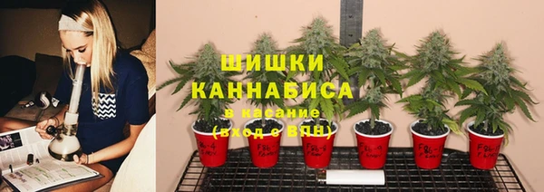 мдпв Волосово