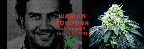 мдпв Волосово