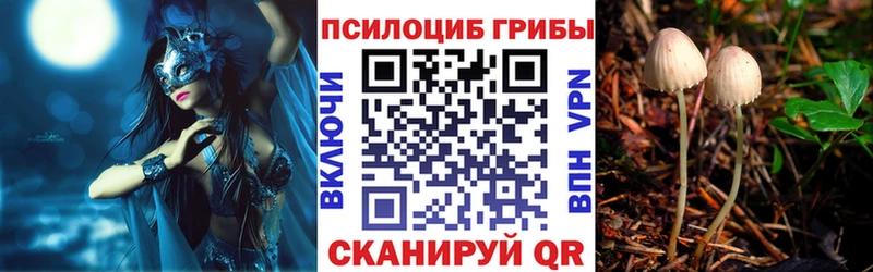 Галлюциногенные грибы Psilocybe  Зубцов 