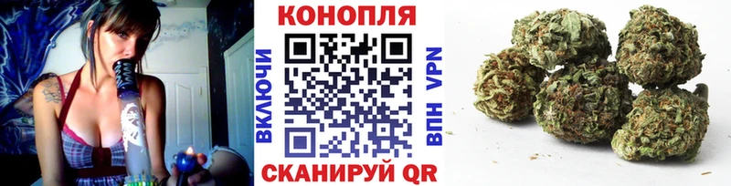 купить наркотики сайты  Зубцов  Шишки марихуана семена 